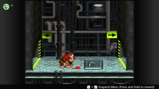 100 Follower Special! Going to 100% The DKC Trilogy on stream!