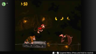 100 Follower Special! Going to 100% The DKC Trilogy on stream!