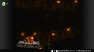 100 Follower Special! Going to 100% The DKC Trilogy on stream!