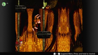 100 Follower Special! Going to 100% The DKC Trilogy on stream!