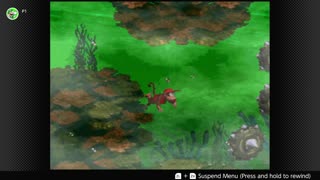 100 Follower Special! Going to 100% The DKC Trilogy on stream!