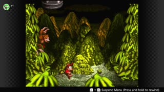 100 Follower Special! Going to 100% The DKC Trilogy on stream!