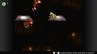 100 Follower Special! Going to 100% The DKC Trilogy on stream!