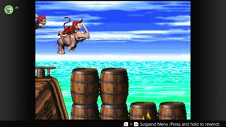 100 Follower Special! Going to 100% The DKC Trilogy on stream!