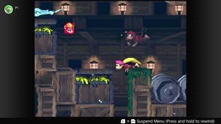 100 Follower Special! Going to 100% The DKC Trilogy on stream!