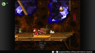 100 Follower Special! Going to 100% The DKC Trilogy on stream!