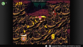 100 Follower Special! Going to 100% The DKC Trilogy on stream!