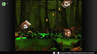 100 Follower Special! Going to 100% The DKC Trilogy on stream!