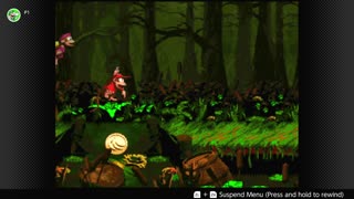 100 Follower Special! Going to 100% The DKC Trilogy on stream!