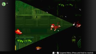 100 Follower Special! Going to 100% The DKC Trilogy on stream!