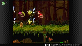 100 Follower Special! Going to 100% The DKC Trilogy on stream!