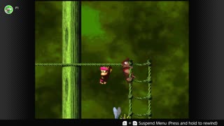 100 Follower Special! Going to 100% The DKC Trilogy on stream!