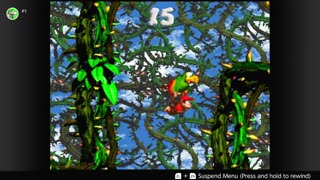 100 Follower Special! Going to 100% The DKC Trilogy on stream!