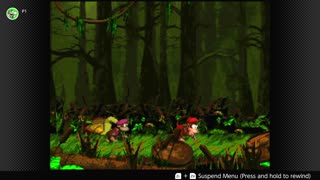 100 Follower Special! Going to 100% The DKC Trilogy on stream!