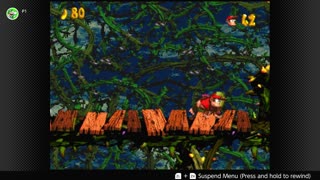 100 Follower Special! Going to 100% The DKC Trilogy on stream!