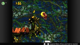 100 Follower Special! Going to 100% The DKC Trilogy on stream!