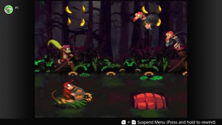 100 Follower Special! Going to 100% The DKC Trilogy on stream!