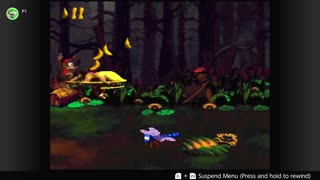 100 Follower Special! Going to 100% The DKC Trilogy on stream!