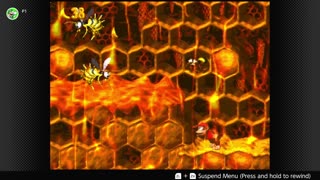 100 Follower Special! Going to 100% The DKC Trilogy on stream!