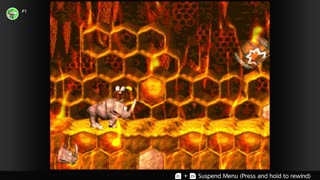 100 Follower Special! Going to 100% The DKC Trilogy on stream!