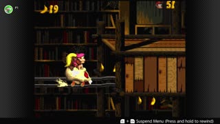 100 Follower Special! Going to 100% The DKC Trilogy on stream!