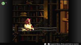 100 Follower Special! Going to 100% The DKC Trilogy on stream!