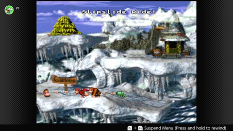 100 Follower Special! Going to 100% The DKC Trilogy on stream!