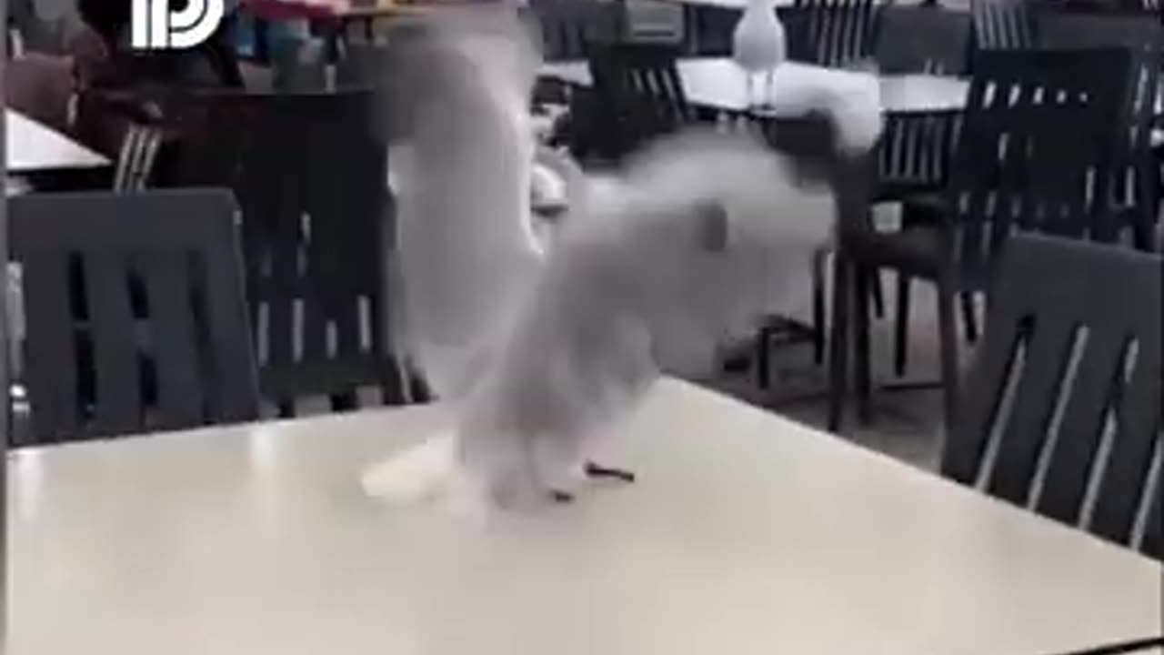 you laugh, you lose