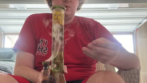 Day 483 pt3 Post weed nap