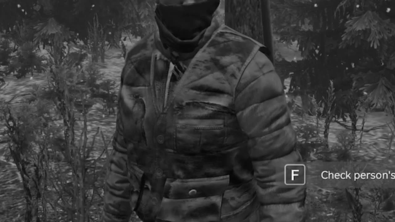 The Looks Of DayZ