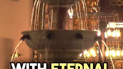 Spreading Love, Happiness, and Hope in Dark Times #endtimes #judgementday