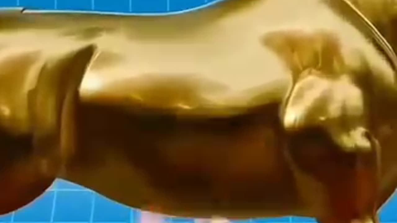 Knowledgeable status video