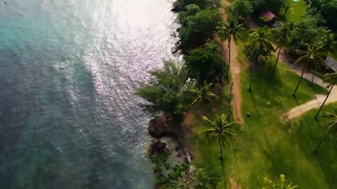 Beautiful relaxing ambient music and enchanting nature