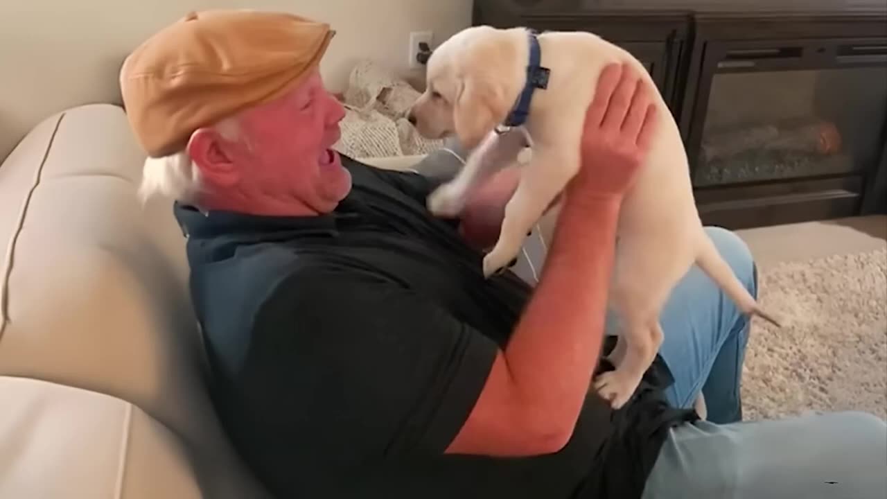 Funniest Animals Compilation 2025 😂🐶 Part 104