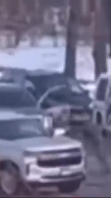 Renee Nicole Goode hits ICE Agent with her Vehicle