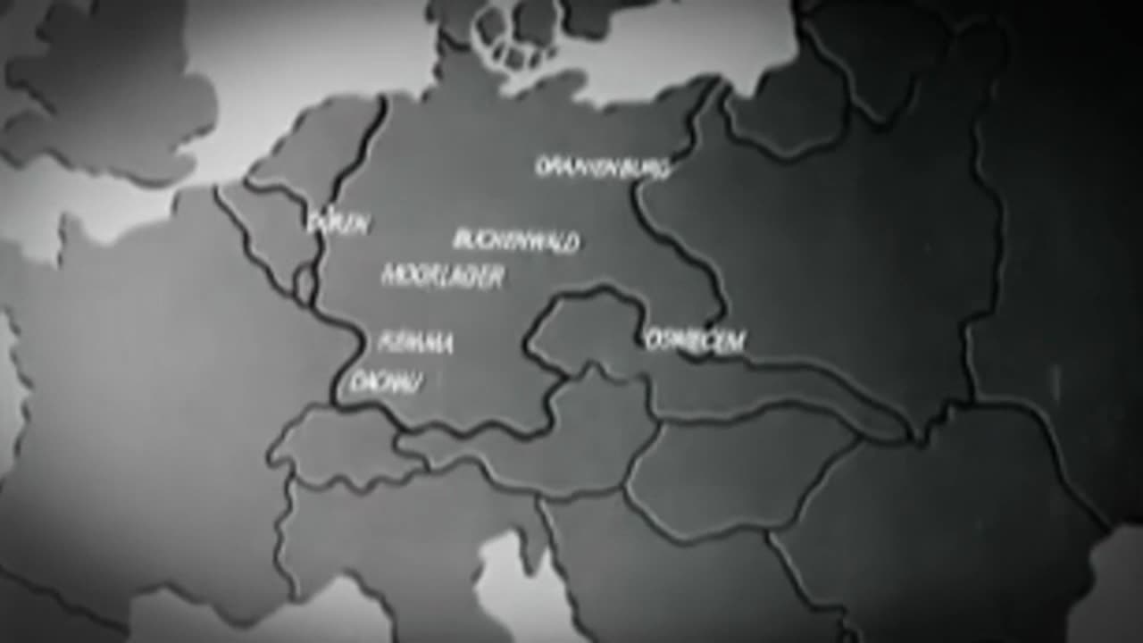 1945 US Army Brass On Nazi Atrocities