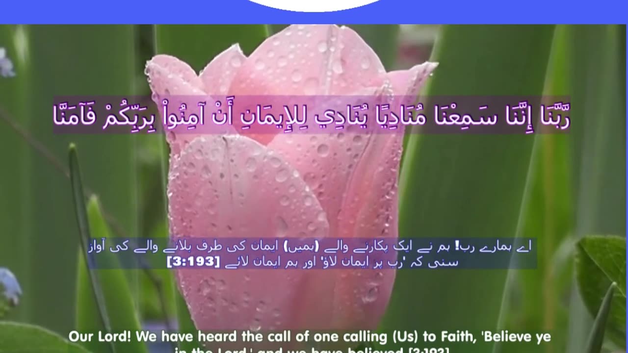 40 Rabbana Duas (Dua no 15)