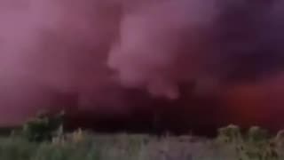 Cow Flees from a MRLS Launcer