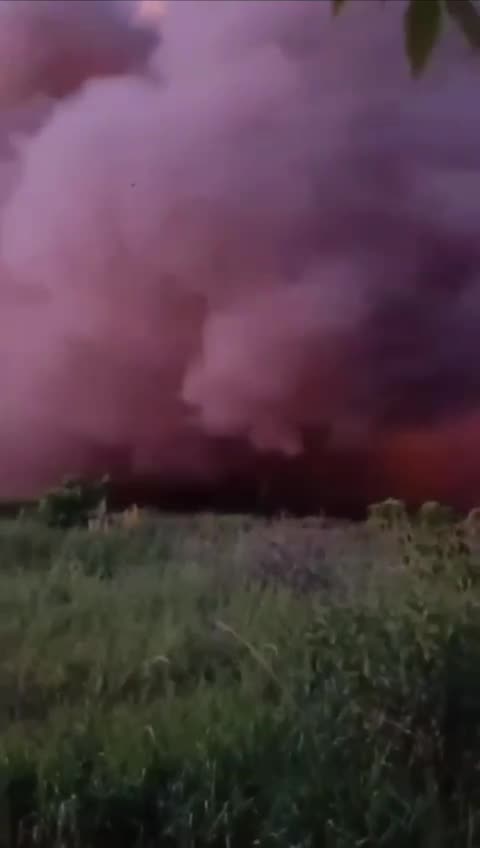 Cow Flees from a MRLS Launcer