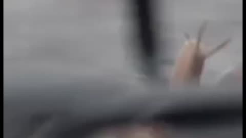 Not Letting Go