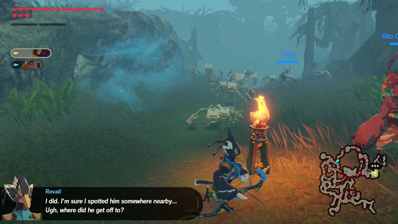 searching hyrule forest