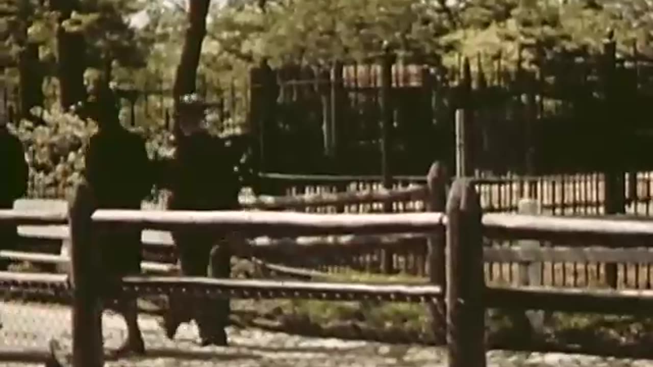 Wathen’s 1941 Journey