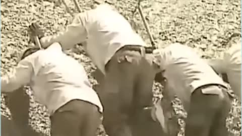 What is the life of Indian Army in Siachen Glacier... find out in this video What