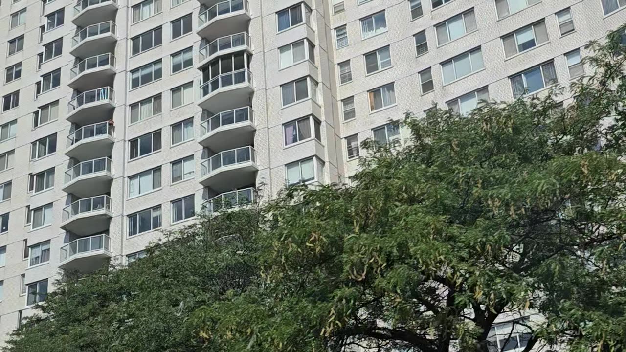 Fucking NY