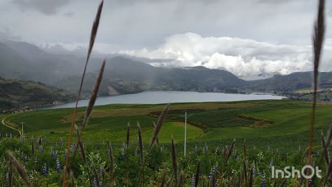 Escuché por ahí que somos reemplazables