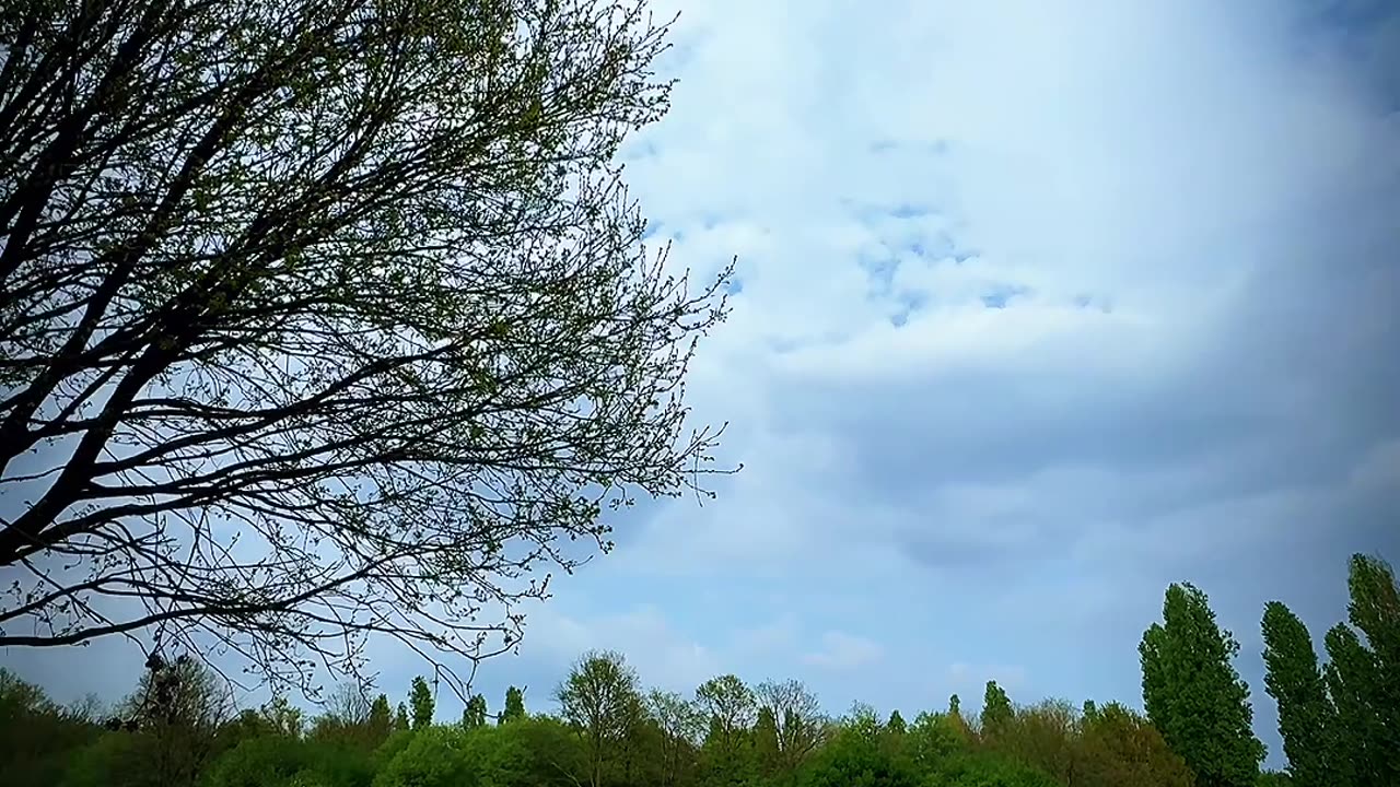 Newly built lake in Parco Nord Milano: 13 April 2025 #newlybuilt #lake #milanitaly