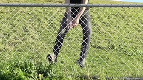 🎬 How Animals Get Over a Fence \(With Emojis\) 😂
