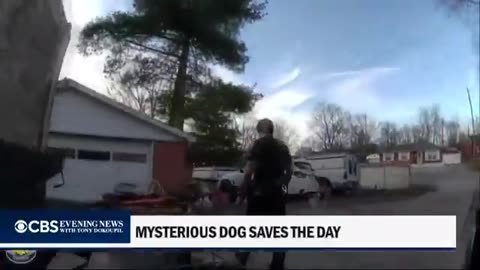 Heartwarming story from Louisville