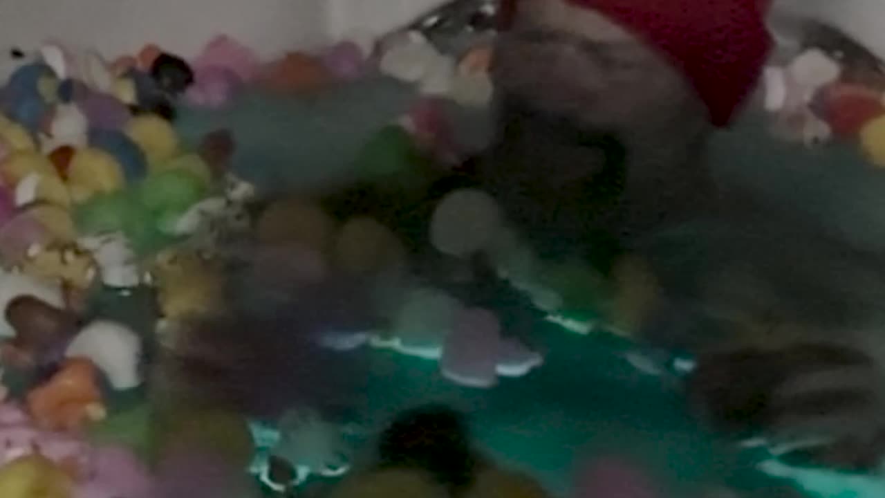 Jeep Owners Relaxing