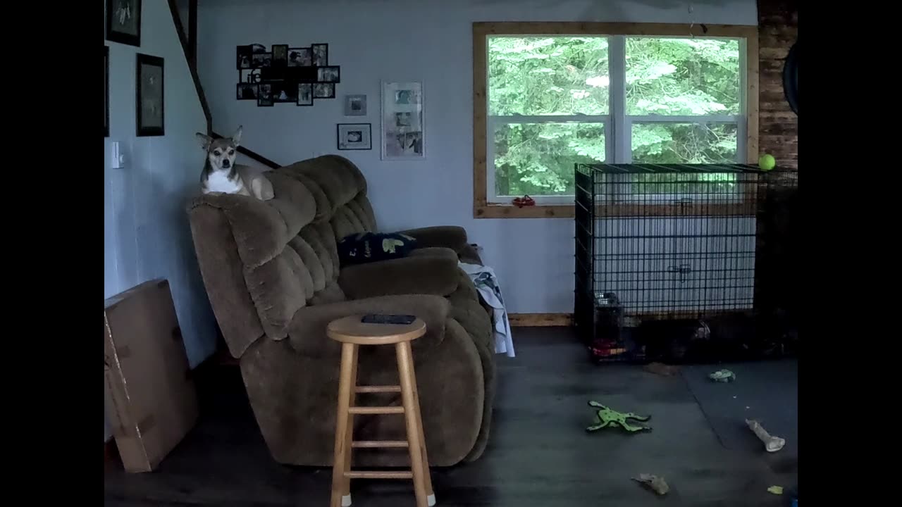 buster in his office